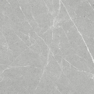 Керамогранит Staro 59930968 Silk Dakota Gris 60x60 матовый
