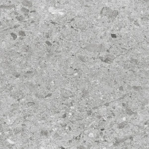 Керамогранит Staro Silk Canyon Silver 60x60 матовый