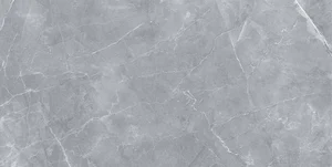 Керамогранит Staro Silk Gilio Matt 60x120 матовый