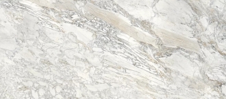 Slab Domino Ash B Elegance Polished