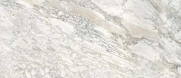 Керамогранит Staro Slab Domino Ash B Elegance Polished 120x280 полированный