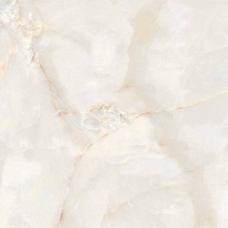 Slab Ostra Bianco Elegance Polished