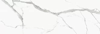 Slab Statuario Venato Matt