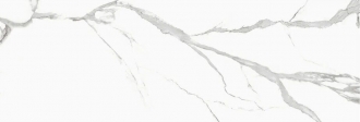 Slab Statuario Venato Polished