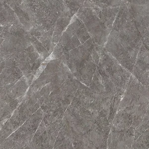 Керамогранит Staro Slab Tundra Gris Luminous 120x120 полированный