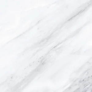 Керамогранит Gaya Fores Statuario Blanco 45x45 глянцевый
