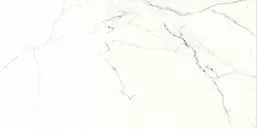 Statuario Lapp. IMP 016L