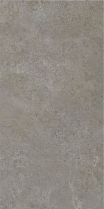 Керамогранит Stn Ceramica CAN5AREIDD5A Arenite Dark Grey MT 60x120 матовый