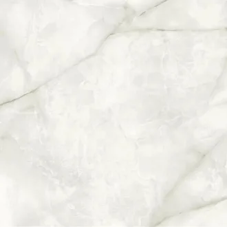 Baltra Pearl Pol.