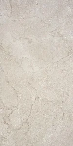 Керамогранит Stn Ceramica CAN5CRUIBDOA Cruise Greige MT 60x120 матовый