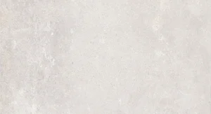 Керамогранит STN Ceramica Endurance Blanco 50x100 матовый