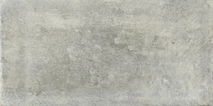 Керамогранит STN Ceramica Endurance Gris 50x100 матовый