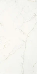 Керамогранит Stn Ceramica CAN5THUIVDAA Thuile Venato Natural MT 60x120 матовый