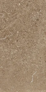 Керамогранит Leonardo Stone Project Cluny 30x60 матовый