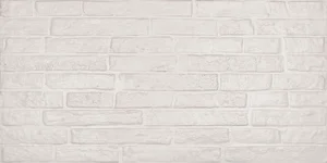 Плитка ABK Street White Matt DOR34220 60x120 матовая
