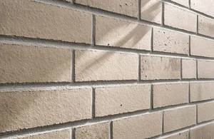 Клинкерная плитка Stroeher Farbklang 2113 Light Beige 95106-003 7,1x24 натуральная