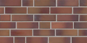 Клинкерная плитка Stroeher Keravette 0728 Palace 95109-007 7,1x24 натуральная