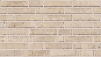 Kontur 3912 Hellbeige Engobed 95044-006