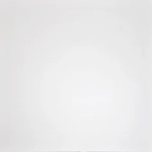 Керамогранит Grasaro Super White G-100 60x60 матовый