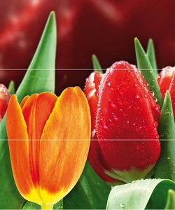 Панно Cerrol Syntia Tulip A 50x60 глянцевое