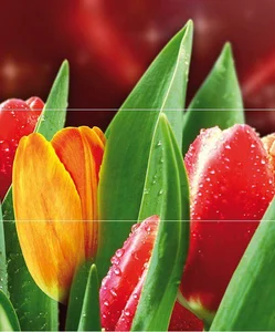 Панно Cerrol Syntia Tulip B 50x60 глянцевое