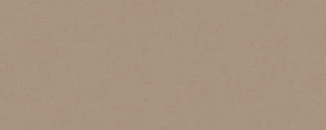 Плитка Vives Tagore Pardo 20x50 глянцевая