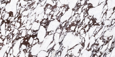 Керамогранит TAU Calacatta Viola Bookmatch B Polished 10871-0003 160x320 полированный