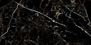 Керамогранит TAU Portloren Black 60x120 полированный