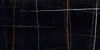 Sahara Noir Bookmatch A Polished 10878-0001