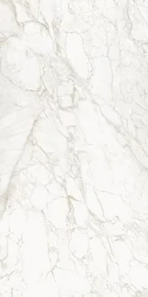 Vagli Gold Bookmatch A Polished