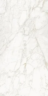 Vagli Gold Bookmatch B Polished