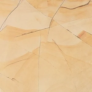 Керамогранит Aleluia Teak Wood Amarelo 45,5x45,5 глянцевый