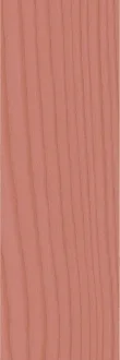 Technicolor Rose TC05