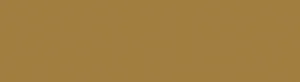 Керамогранит Technolam Basic Arancio Nat 100x300 матовый