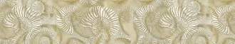 Shell Ammonite TD-SH-B-AM