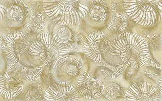 Shell Ammonite TD-SH-D-AM