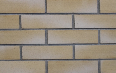 Клинкерная плитка Terramatic Color Plato Eco AC5104 7,1x24 матовая