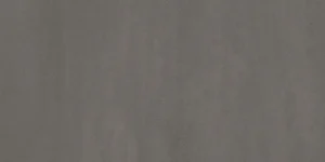 Керамогранит Terratinta Betongreys Cold Cinque TTBGCC36N 30x60 матовый