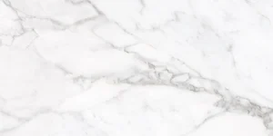 Керамогранит Terratinta Stonemarble White TTSMWH36P 30x60 матовый
