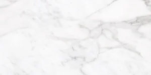 Керамогранит Terratinta Stonemarble White TTSMWH36SI 30x60 матовый