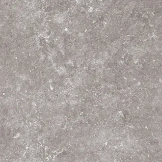 Stonevolution Grijs TTSE0111LP