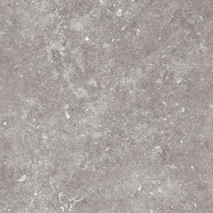 Керамогранит Terratinta Stonevolution Grijs TTSE0111LP 10x10 лаппатированный