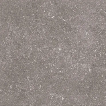Керамогранит Terratinta Stonevolution Grijs TTSE0111N 10x10 матовый