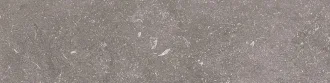 Stonevolution Grijs TTSE0115N