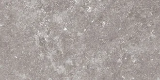 Stonevolution Grijs TTSE0136LP