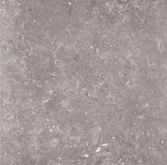 Stonevolution Grijs TTSE0160V