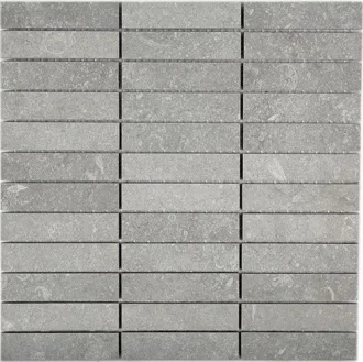 Stonevolution Grijs TTSE01M2LP