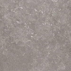 Керамогранит Terratinta Stonevolution Grijs TTSE0260FL2CM 60x60 матовый