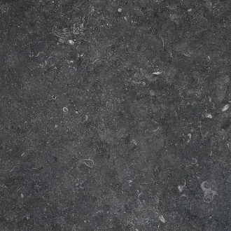 Stonevolution Zwart TTSE0211LP