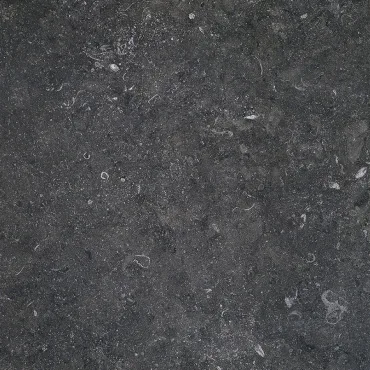 Керамогранит Terratinta Stonevolution Zwart TTSE0211LP 10x10 лаппатированный